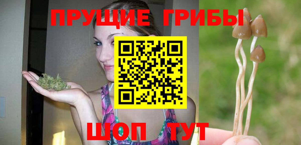 Галлюциногенные грибы Psilocybine cubensis  Вход с VPN  Псилоцибиновые грибы MAGIC MUSHROOMS  Муравленко 
